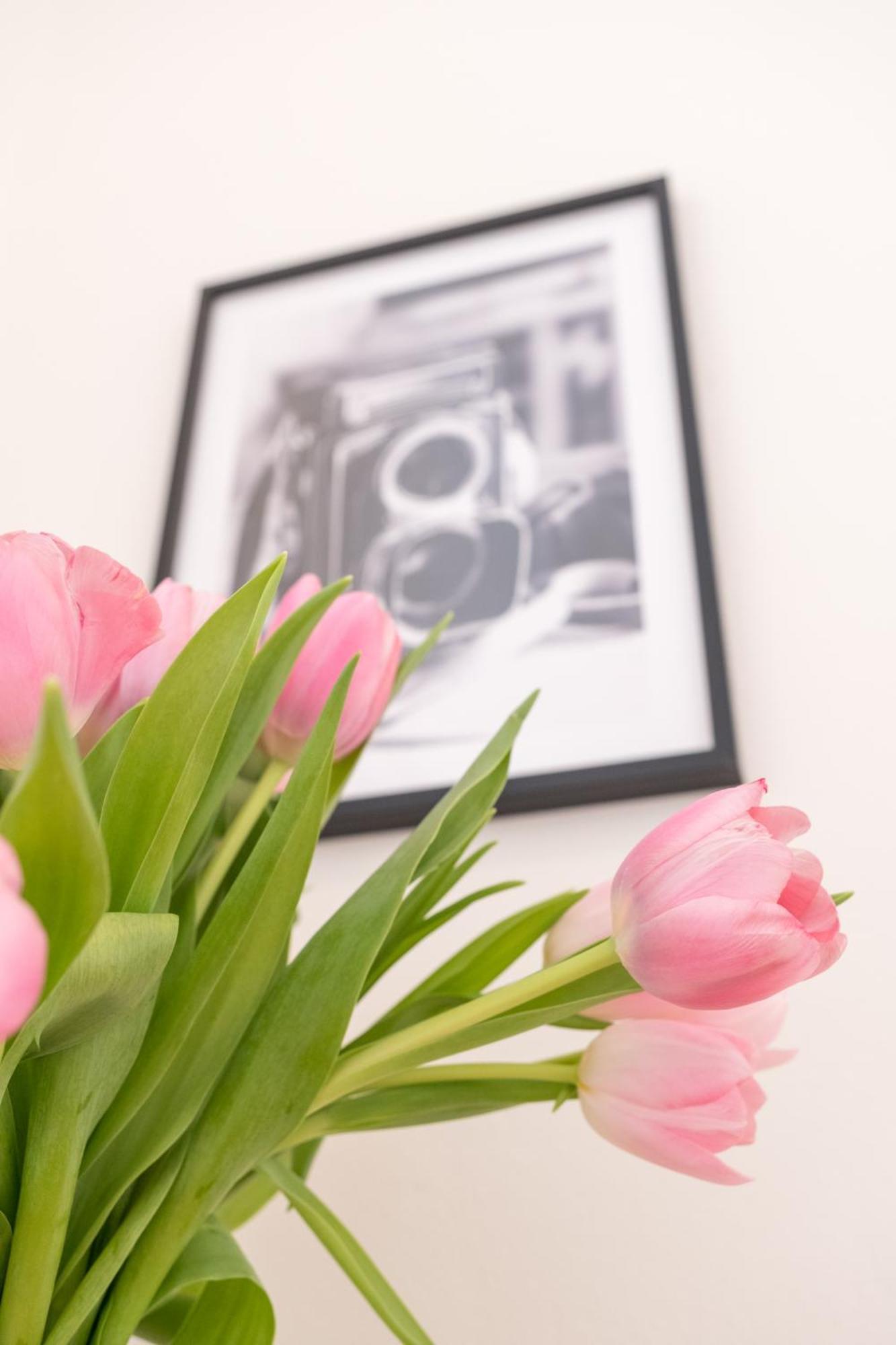 City Apartments Wiedeń Zewnętrze zdjęcie